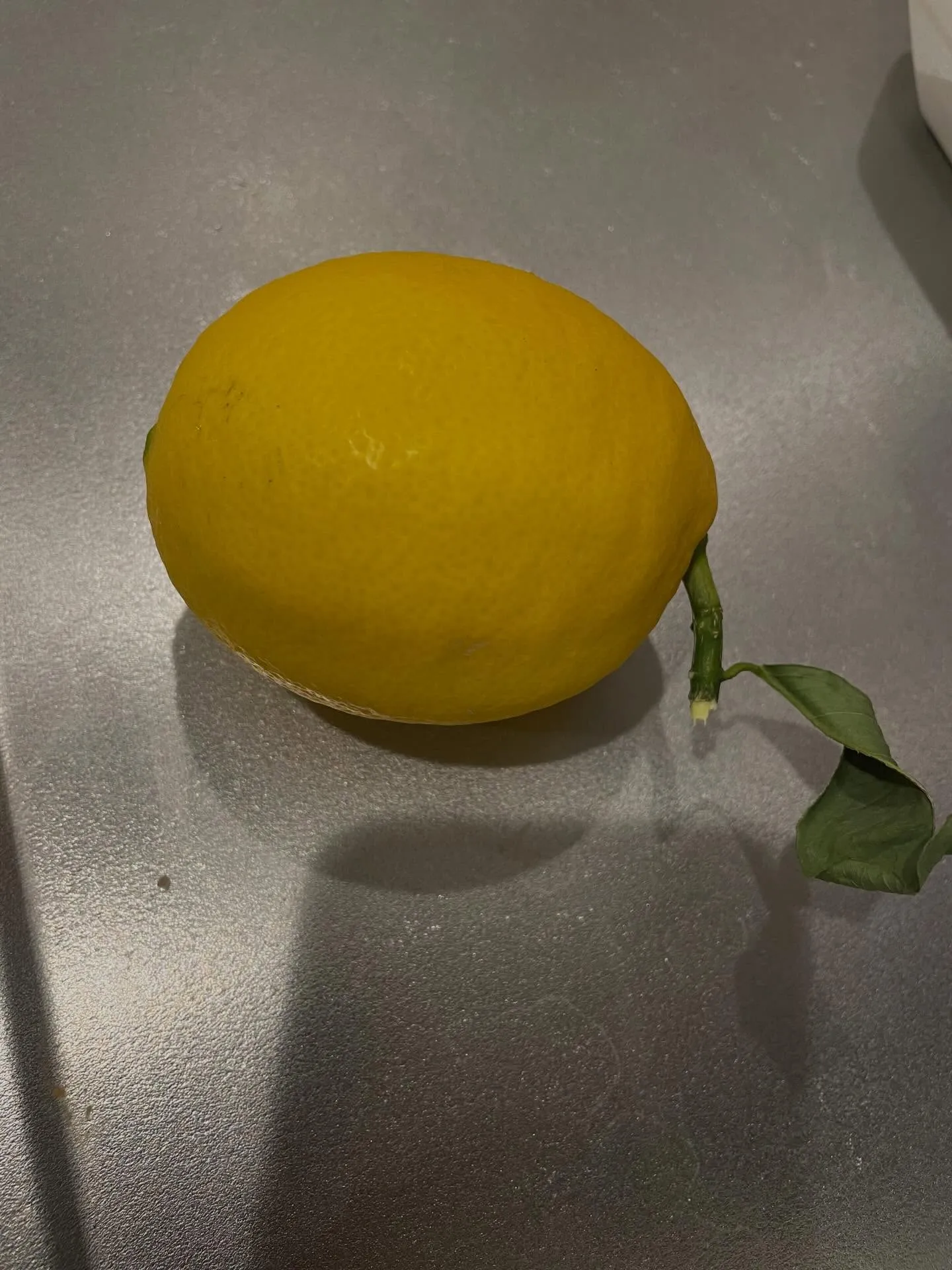 12/30～1/3まで冬季休業となります🎍