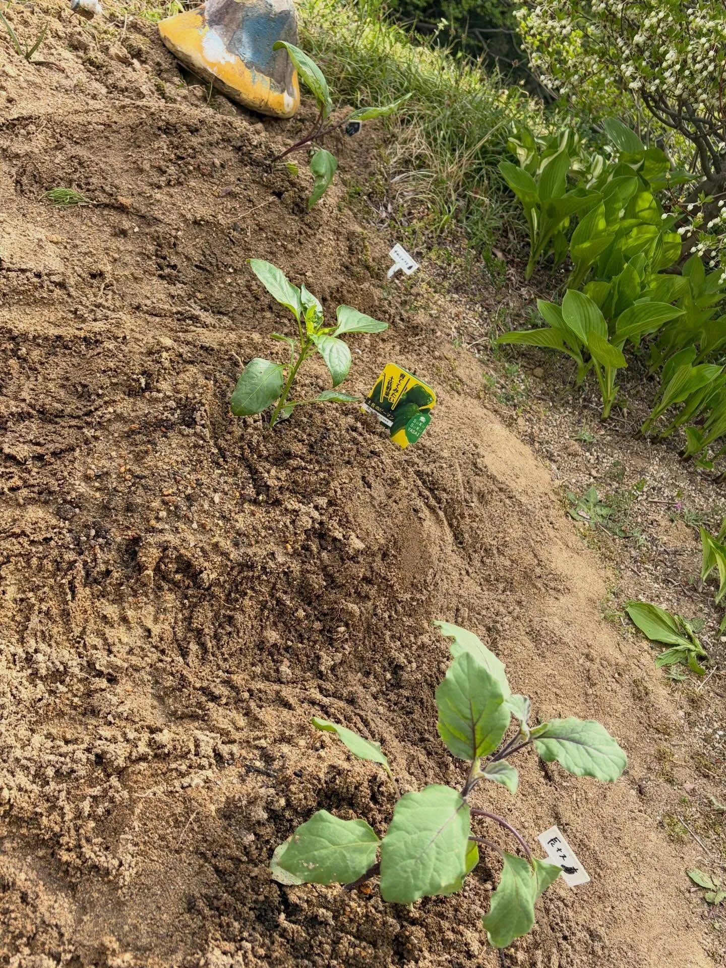 スタッフ武田です😺