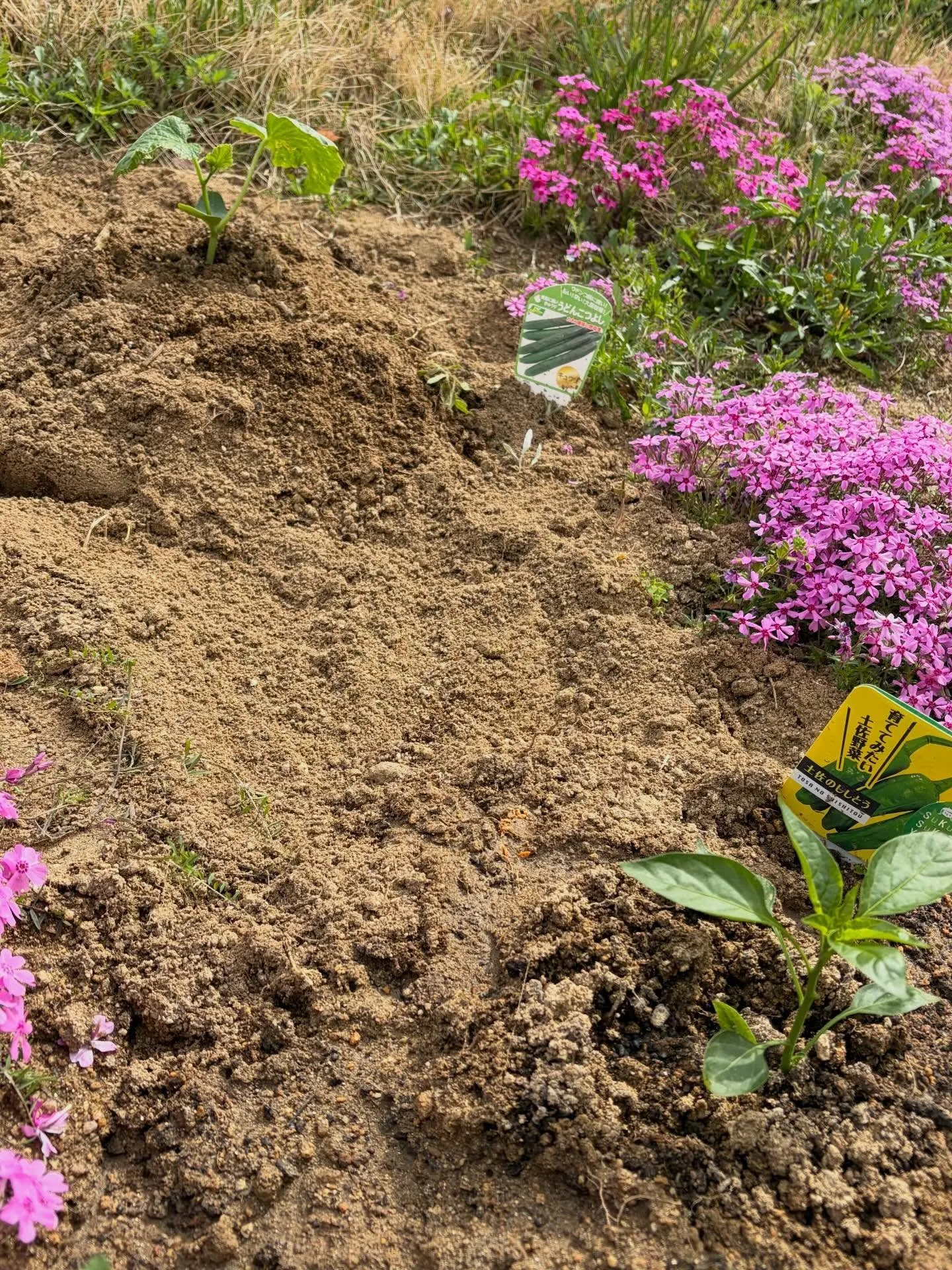 スタッフ武田です😺