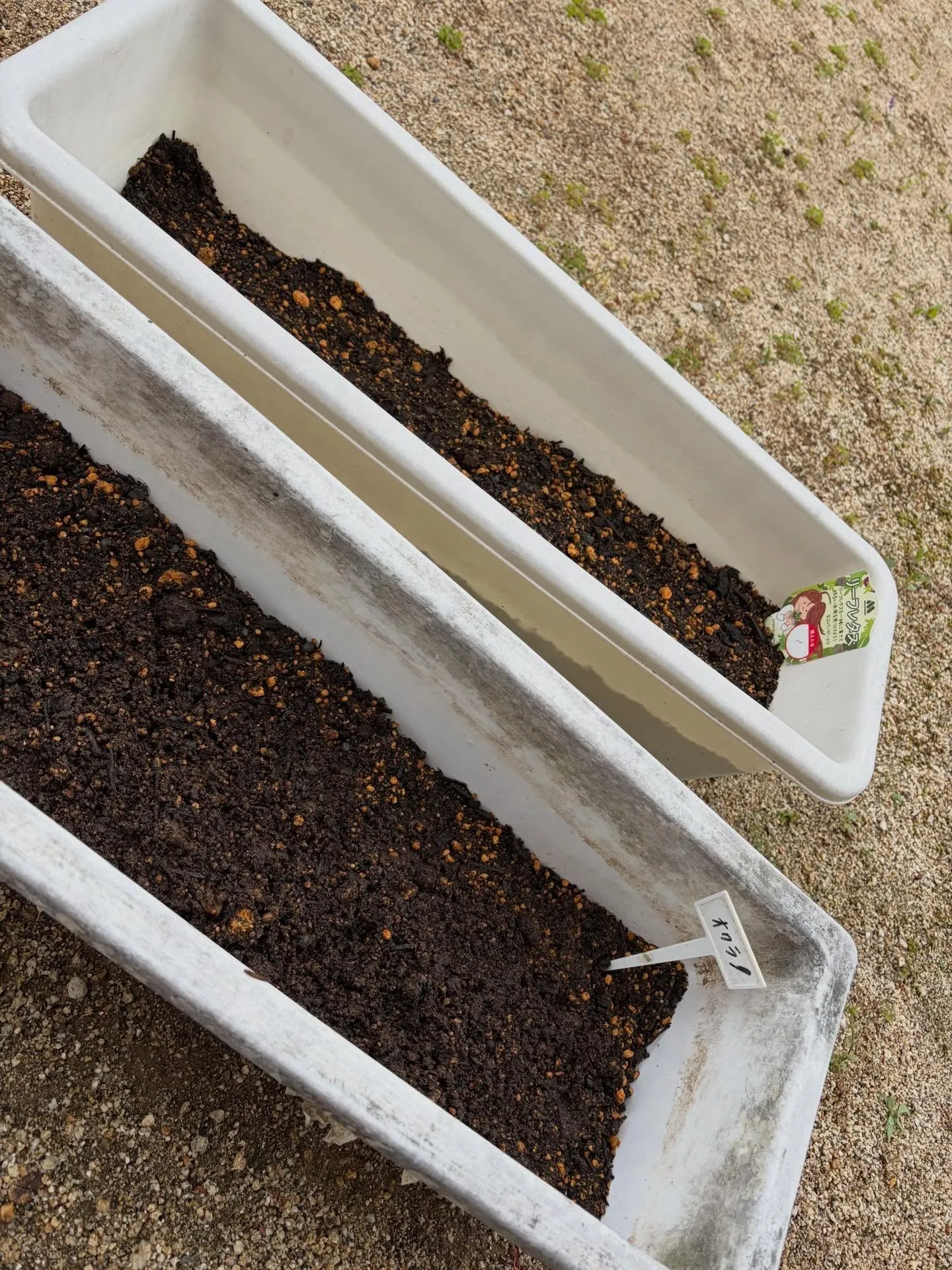 スタッフ武田です😺