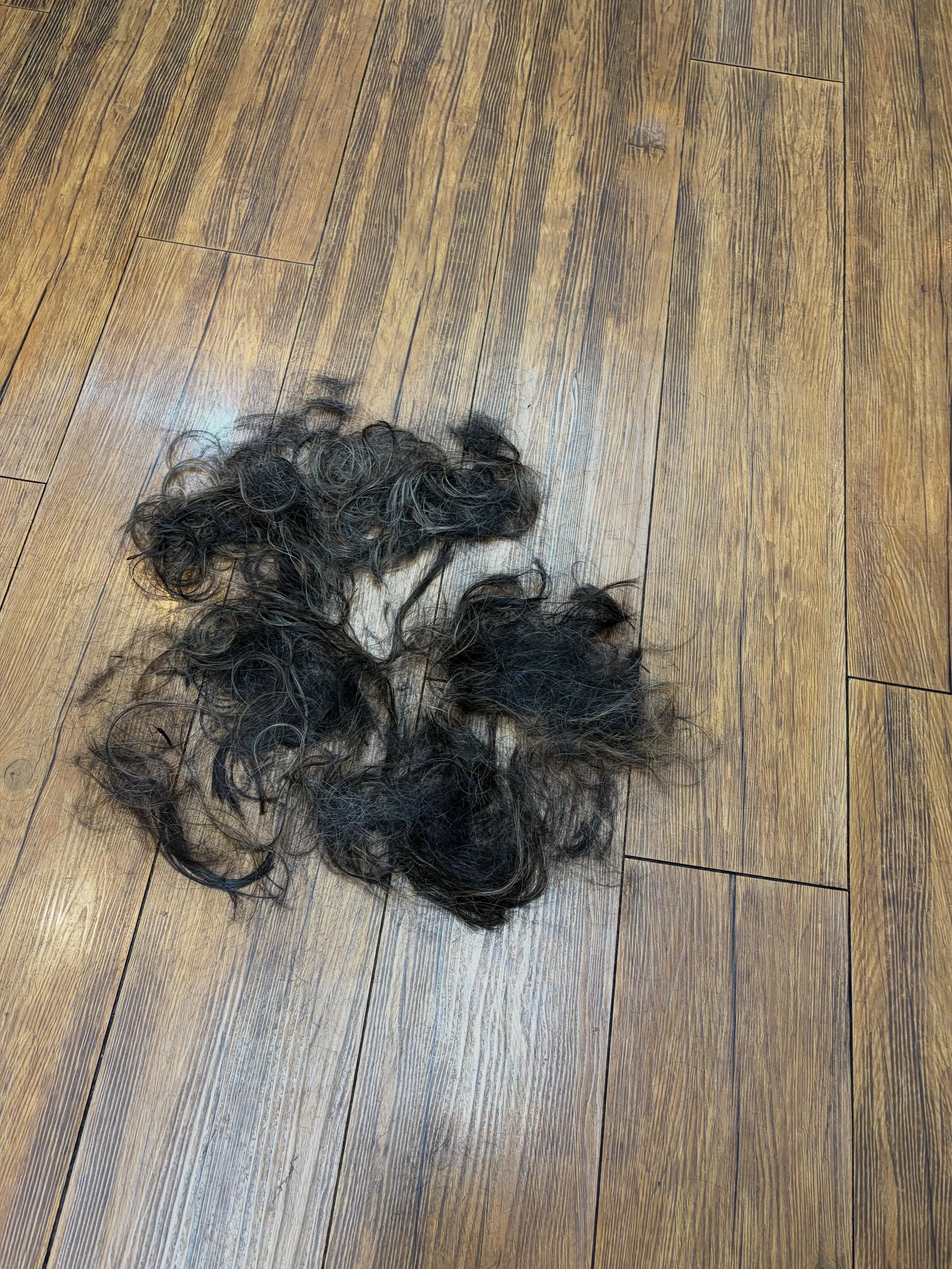 先日、小野寺の断髪式を行いました✂️